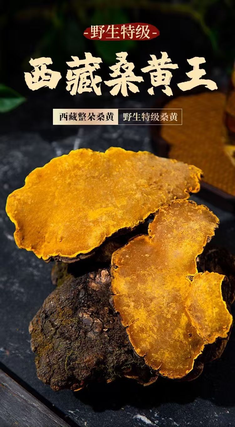 Sang Huang Mulberry Yellow Fungus Sliced 100g Bag Traditional Herbal Wellness for Middle Aged and Older Adults key features