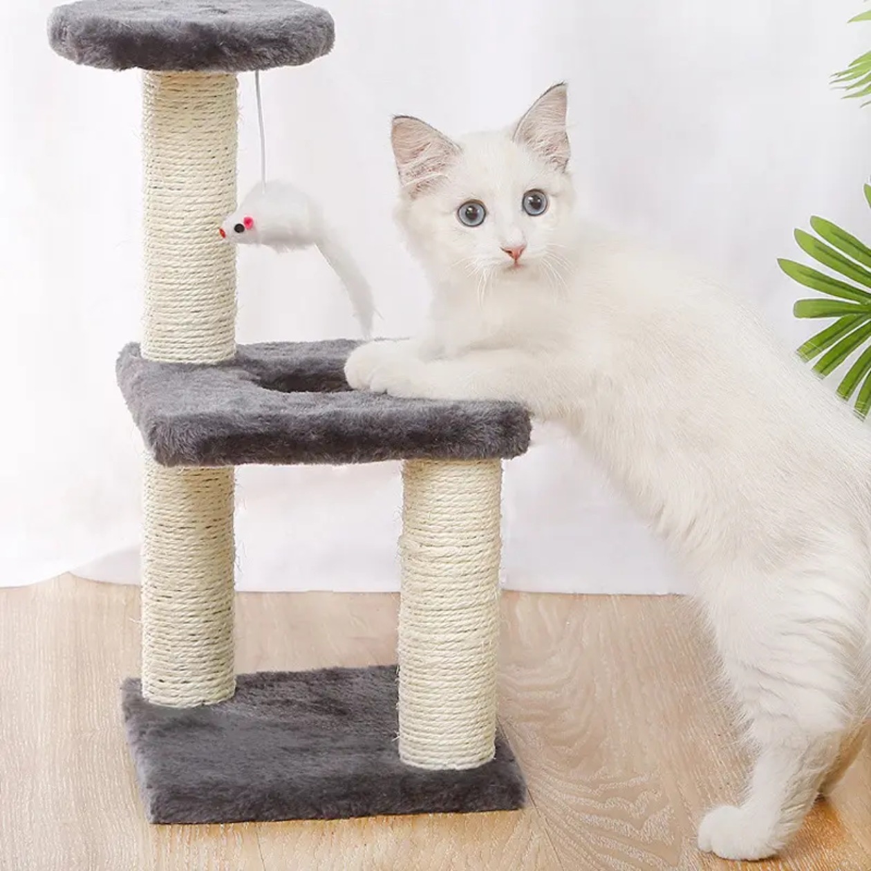 Transfronterizo pequeño gato escalada marco de seda vertical tres columnas de tres capas columna de garra de gato de tamaño medio simple gato salto plataforma gato agarre juguete