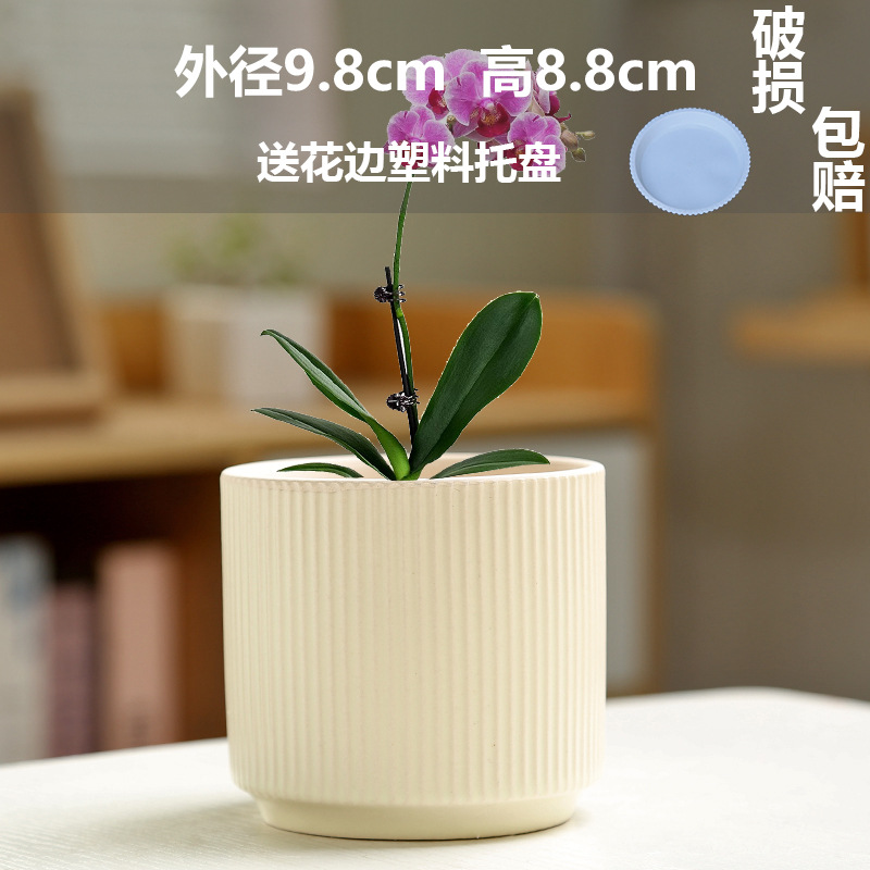 Maceta transpirable de estilo nórdico Phalaenopsis especial para el hogar con bandeja, planta verde simple creativa, maceta de cerámica carnosa