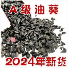 ��������С��������Ϳ����W�^�Bʳ��ς}����ʳ�B�Z���Z5����]