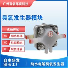 高浓度臭氧水发生器地下水处理器具清洗消毒电解式臭氧发生器模块