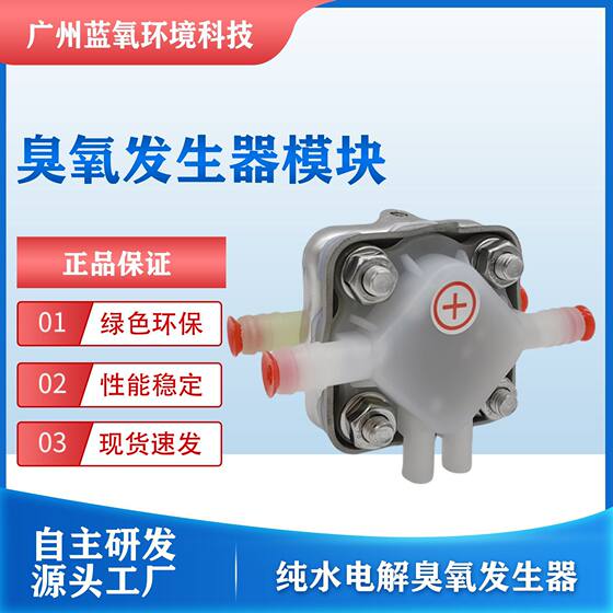 High concentration ozone water generator underground water treatment equipment cleaning and disinfection electrolytic ozone generator module