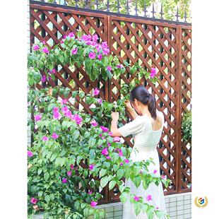 �������ľ�řھW�񻨈@�h�ʇ����b����ټ���ľ����ͥԺ���ܸ���