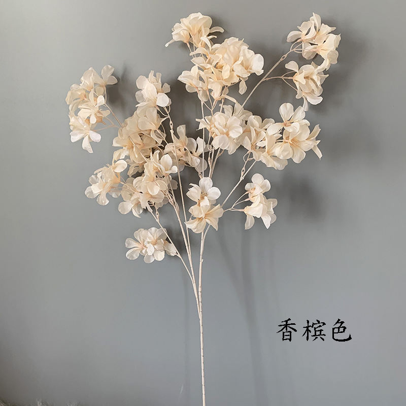 샴페인-SH