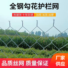 镀锌铁丝网围栏隔离防护网勾花网养狗护栏钢丝网养殖网