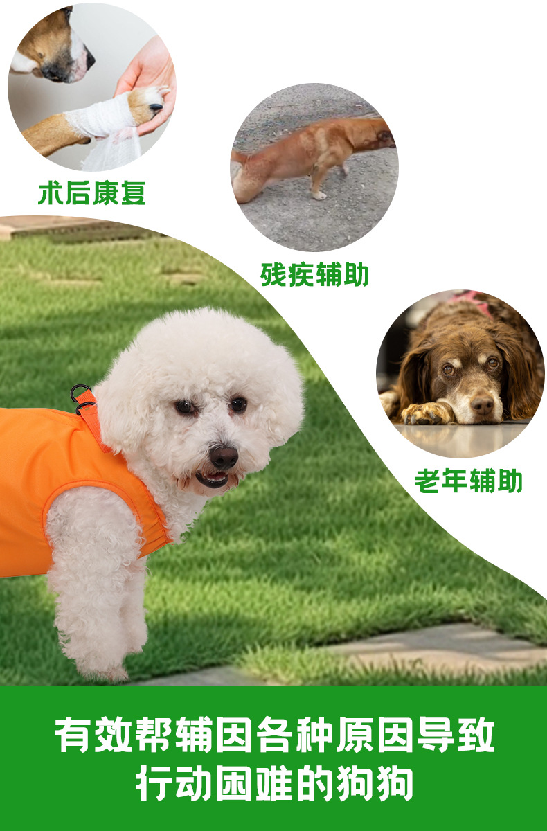 详情图
