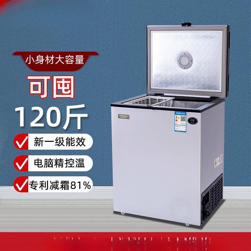 Small Freezer Household Freezing Small Energy-Saving Rental Dormitory Horizontal Refrigerated Car Refrigerator Direct Supply Wholesale New Model