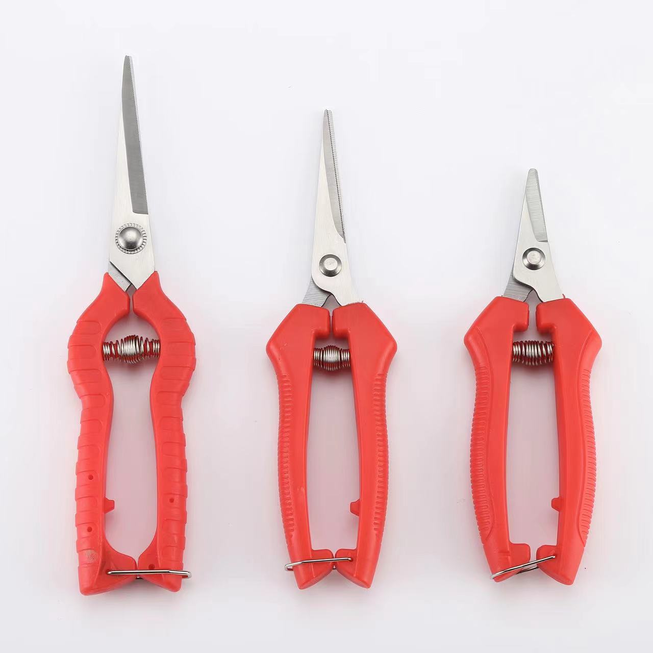 微信图片_20230909231248_1