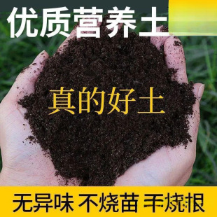 Nutrient Soil for Growing Vegetables, Household Balcony Planting Florals and Vegetables, Organic Fertilizer Soil, Green Radish Potted Plants, Universal