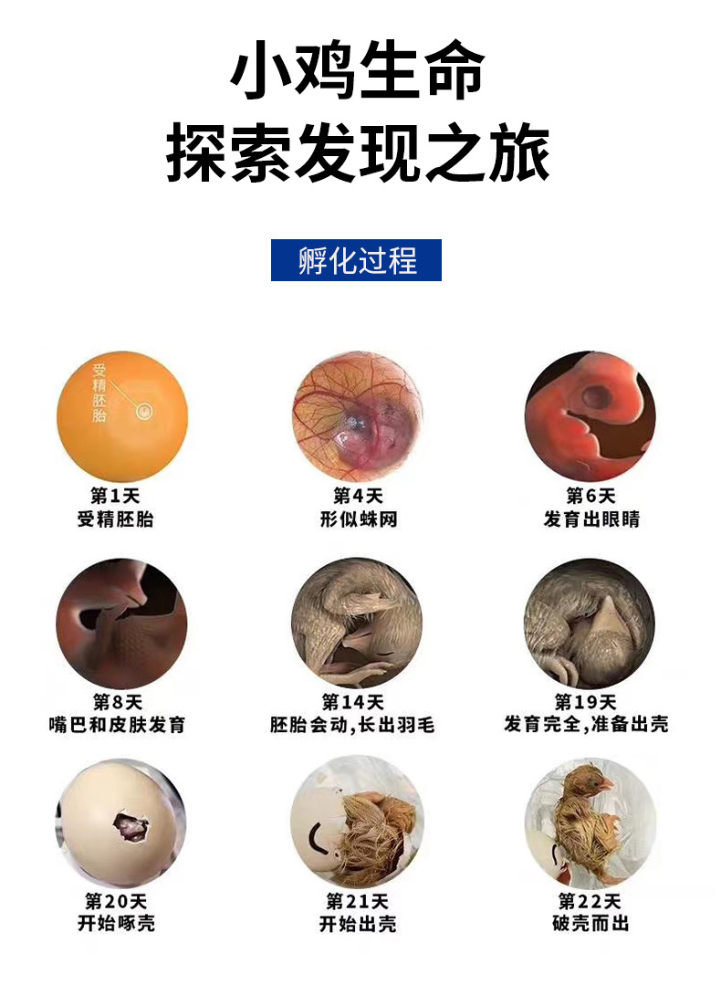 O1CN013D7N371kUEhLg0bcP_!!9274