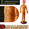 Copper soft soft model [52cm male model] The arm can be transferred to ultra-clear large characters-can tie the needle