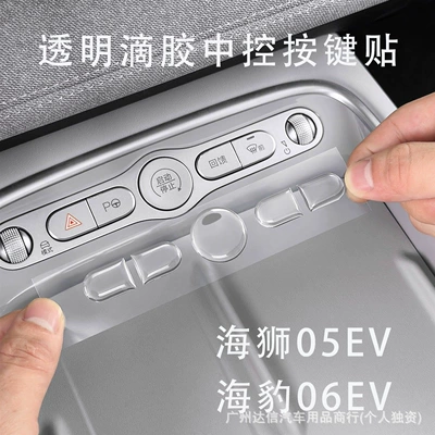 Byd Sea Lion 05Ev07Dm: Car interior film