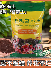 ���|�I�B���B��ͨ���ͷN�ˌ��������⻨�����Ԍ�����̿Ҭ���Nֲ��