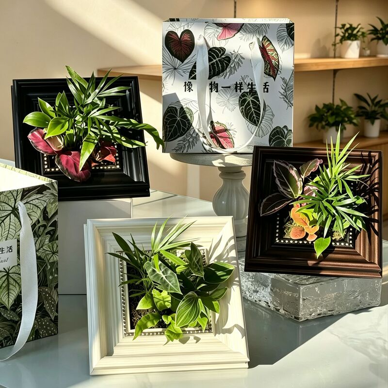 High-quality, stylish new square plant frame, flower pot, desktop green plant, and light luxury decorative piece – a floral plant container and frame