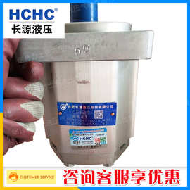 CBQ-G540合肥长源HCHC油泵齿轮泵规格齐全一件也批发