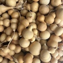 ���l��Ȼ�������J��̖С̖���Jβ؛ �������ؔ�؛Դ��ͯ����