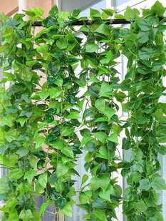 �ٗl�G�}�~�b٘��~�G���������ϻ���ˮ�ܵ��ړ����{�G�~��