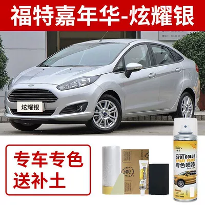 Avtomobil boya qələmləri: Blue Car Paint Electric Purple - ford-fiesta-show-off-the-silver