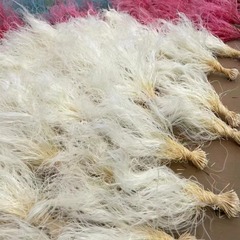 進口羽毛草仙女草乾花花束居家配材禮盒玻璃罩diy裝飾配材批發