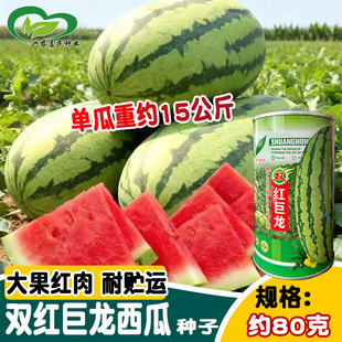 ���t�p�t�������ϷN�� �½�������ɰ������r��̖���ϷN�� ¶����
