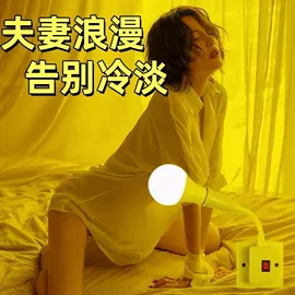 LED装饰灯;太阳能灯;其他灯具配件