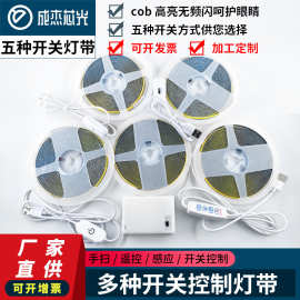 cob灯带5V usb自粘软灯带触摸开关套装柔性灯条led灯条氛围背景