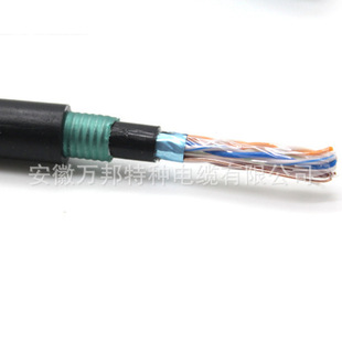 Armored Shielded Network Cable HYACat 5e F/UTP