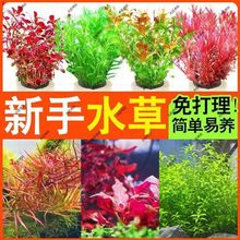 ��ɽʯˮ�ݽM���ײ�ˮ���~ˮ��ˮ��ֲ���ϼt�����������T����ˮ�|