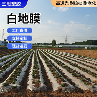 Agricultural Greenhouse Vegetable Film, Agricultural Pe Plastic Vegetable Growing White Mulch Film, Peanut and Corn Planting Insulation Film