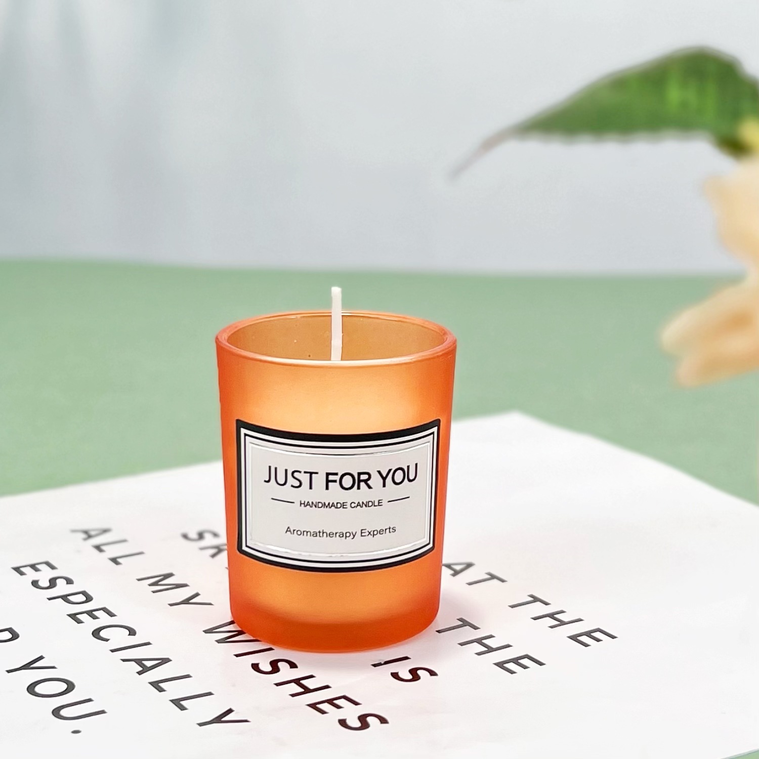 오렌지 (감귤류)