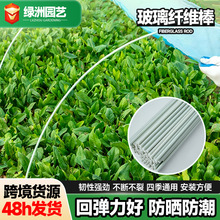 玻璃纤维棒 小拱棚支架农用菜地园艺棚架玻璃纤维杆弓型骨架厂家