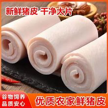 猪皮厂家直销大块无毛无油生鲜猪背皮肉皮批发猪皮