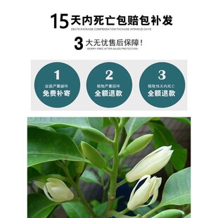 һ�����l���m���������ڼ޽Ӱ����m�����ļ��������ͥԺ�ֲ̨��