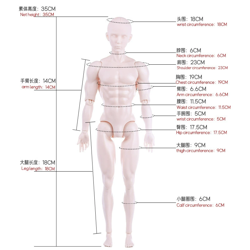 6 points male doll with plain head model BJD body soldier toy sports muscle body large size movable beauty 13 joints