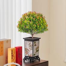 小叶赤楠盆景老桩室内花卉绿植盆栽办公室客厅四季好养活植物树苗