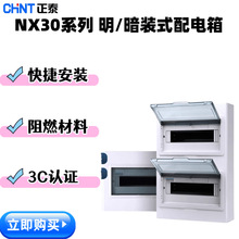 ̩NX30䏊b늙PZ30_©b