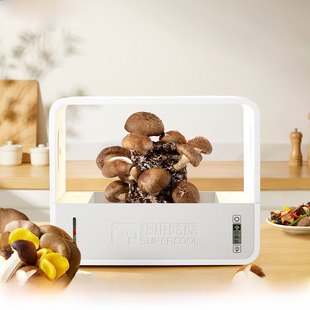 Mushroom Eco Box Desktop Smart Mushroom Planter Soilless Cultivation Planting Box Mushroom Small Planting Box Cross-Border