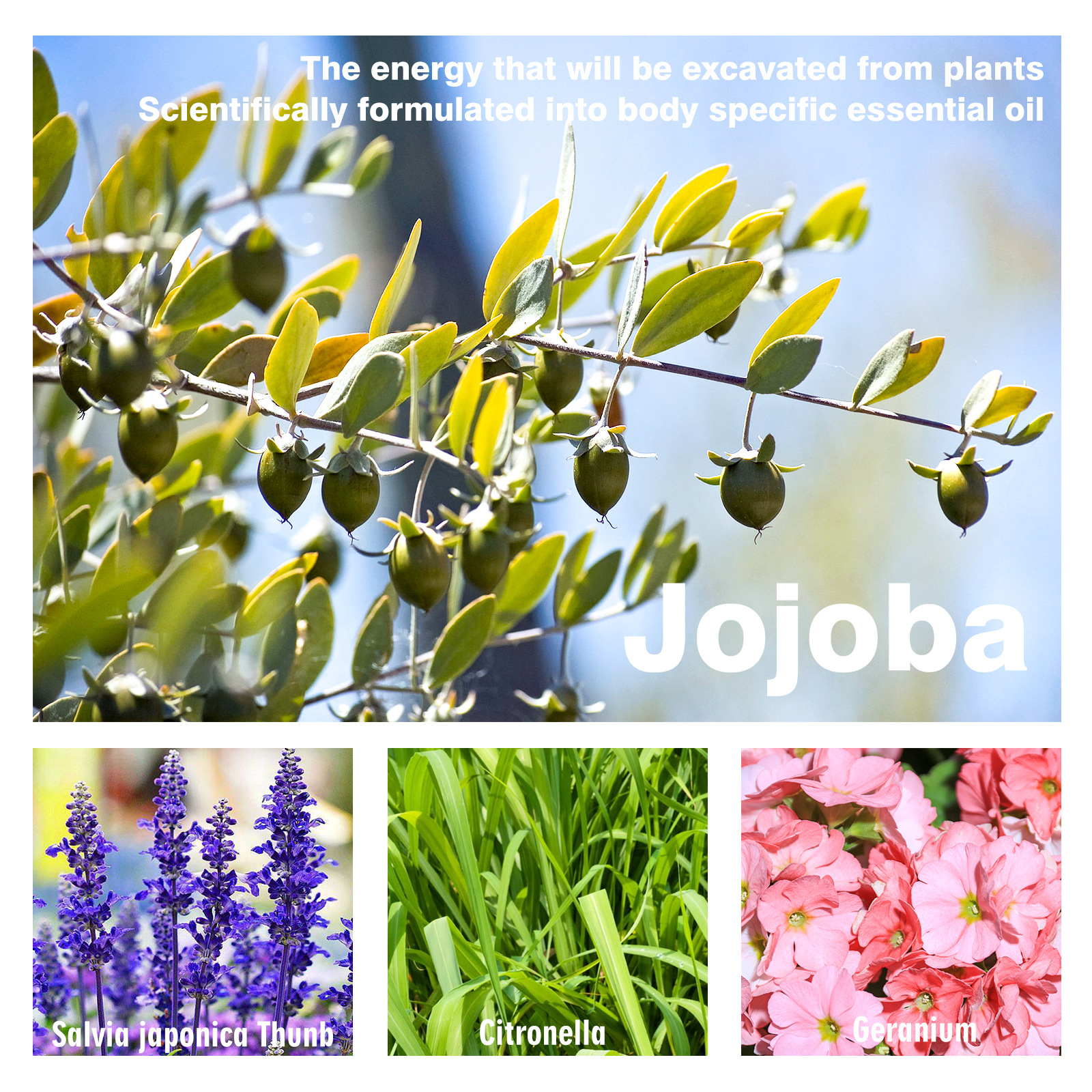 Jaysuing 美胸滾珠精油 胸部護理精油美胸緊緻護理堅挺按摩精油