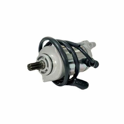 Stels Luipaard 600 – Starter and accessories