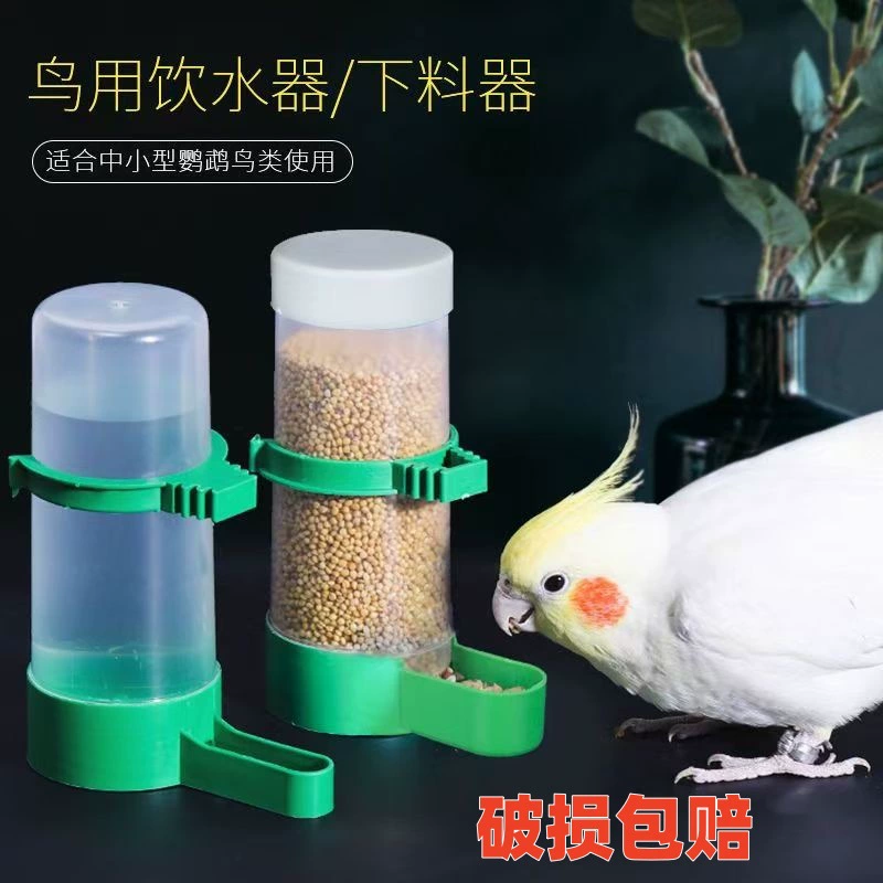 Автоматическое устройство для питья птиц Кормушка для попугаев Кормушка для кормления домашних животных Чайник с защитой от разбрызгивания воды Кормушка для кормления Заводская Прямая