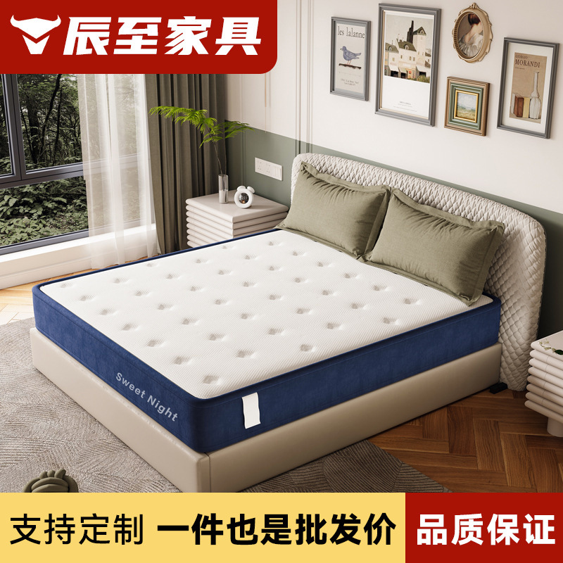 Simmons Environmentally Friendly Coconut Palm Stainless Steel Spring Mattress Anti-Mite Kidsren and the Elderly Spine Protection Soft and Hard Coconut Palm Mattress 20cm