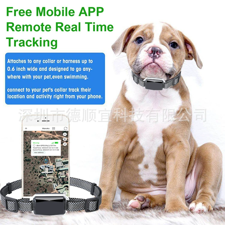 Популярный GPS-трекер G58 с поддержкой 4G для собак и кошек, ошейник для защиты от потери и кражи, полный сетевой доступ.