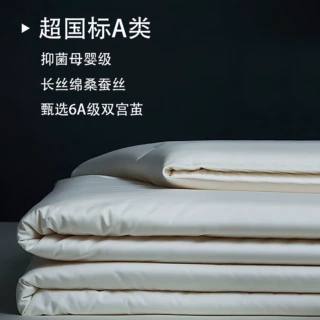 优等蚕丝被100%桑蚕丝春秋被芯薄款空调夏凉被子冬被加厚保暖棉被