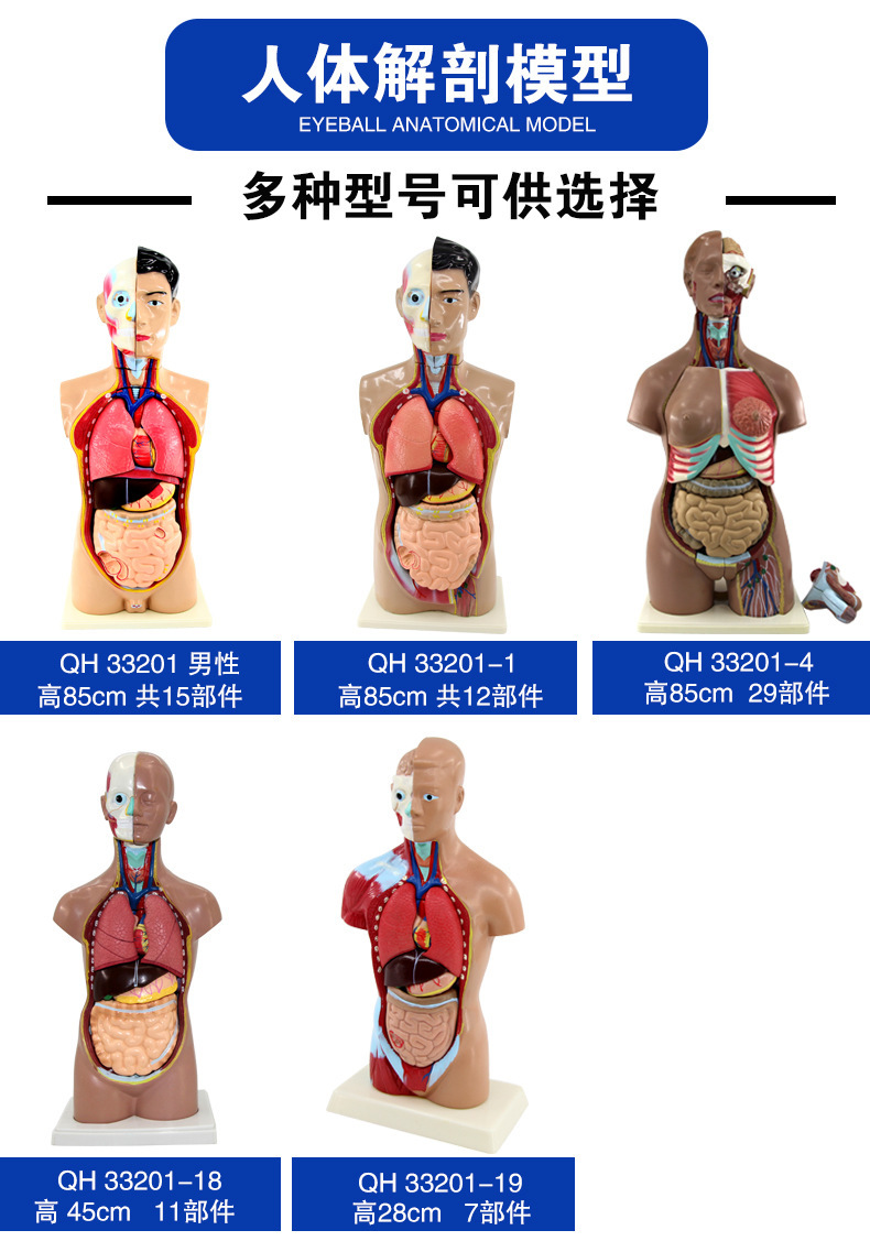 O1CN01YzfMBl2Kk6XXQZQmJ_!!3578