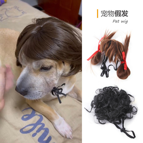 Z wholesale pet wigs and headwear for dogs and cats with bangs and afro teddy dress up funny holiday supplies