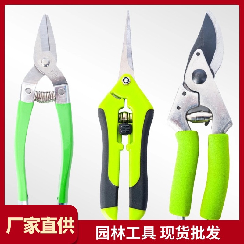 高枝摘果疏果剪园林不锈钢粗枝盆栽弯头花园弹簧剪省力园艺修枝剪