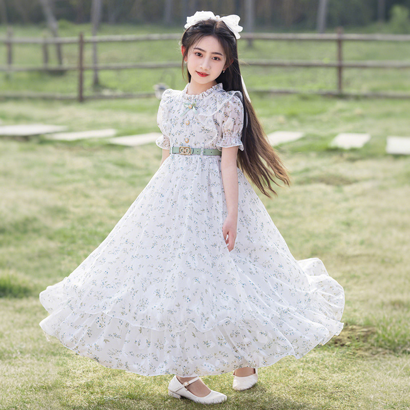 Girls' dress Big Children's Chiffon Dress 2025 New Korean Style Western Style Short Sleeve Princess Dress Children's Performance Dress