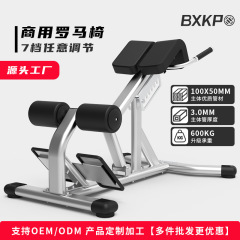 業務用ローマンチェア、ヤギスタンドアップマシン、多機能ウエストツイストマシン、ヒップフィットネス、腰筋・腹筋トレーナー、ローマンスツール