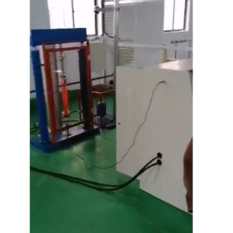 全自动智能化脚扣试验机（中西器材） 型号:M962 库号：M962