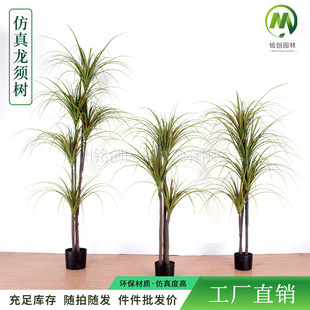 ������Ѫ����횘����ԾGֲǧ��ľ�Rβ�F�����F���҃��b�ins�L